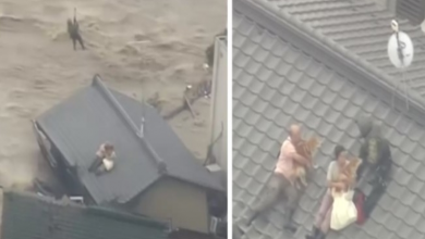 Photo of Brave Elderly Couple Refuses To Leave Their Dogs Behind During Flash Flood