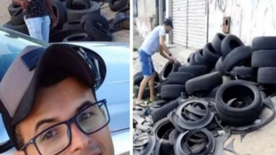 Photo of Artist turns old tires into comfy beds for stray animals