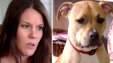 Photo of Owner Hears Dog Growling In Her Room. She Wakes Up, And Pup Leads Her To A Medical Emergency