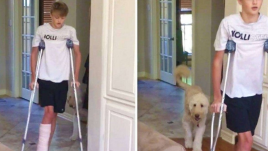 Photo of Teen Is On Crutches So Dog Mocks Him By Mimicking His Walk