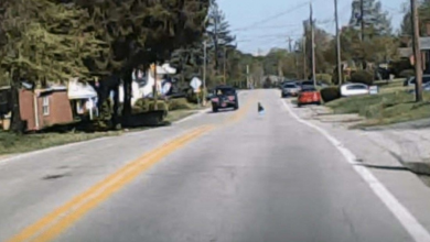 Photo of Man Is Driving Through Neighborhood When He Spots A Baby Wandering Alone On The Road