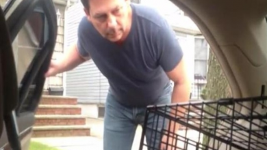 Photo of Dad Has Adorable Reaction When He Gets A New Dog
