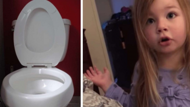 Photo of Little girl gives dad a no-nonsense lecture on why it’s not OK to leave the toilet seat up