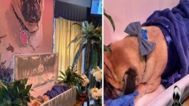 Photo of Man holds funeral to say goodbye and honor his beloved dog