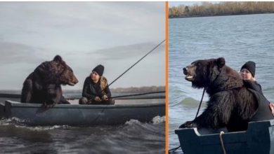Photo of Woman And Her Rescued Brown Bear Friend Love Going Fishing Together