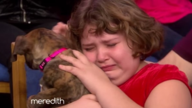 Photo of This Little Girl Rescued A Puppy But Had to Let Him Go. One Week Later, She Was in Tears.