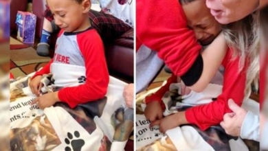 Photo of Little Boy Bursts Into Tears Upon Seeing Blanket With Pictures of his Late Dog