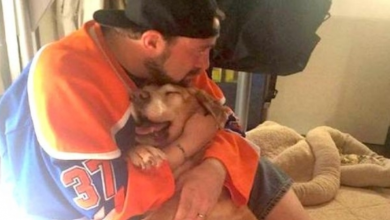 Photo of Kevin Smith Writes Painful Farewell To His 17-Year-Old Dog, And It’ll Bring You To Tears