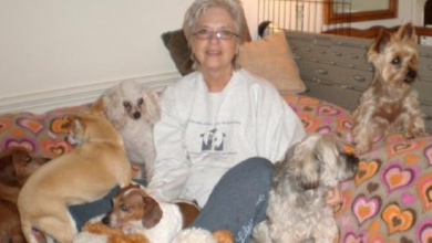 Photo of Woman Opens Retirement Home For Senior Abused Dogs To Retire In Love And Comfort