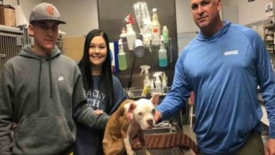 Photo of After Being Dumped & Left For Dead On Christmas, “Miracle” Dog Is Adopted By Officer Who Saved Her Life