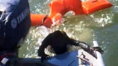 Photo of Fisherman Throws Life Jacket To Save Drowning Dog, But It’s “Not A Dog At All”