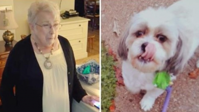 Photo of Depressed 81-Year-Old Woman’s Daughter Gives Her Dog Away After Mom Falls