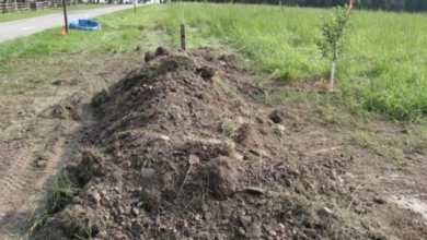 Photo of Monster Buried Him 6-Inches Beneath Mound Of Dirt, Officers On Scene Cried