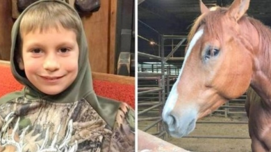 Photo of Little Boy Wants To Save Old Horse From Kill-Buyer, Cries & Prays For A Miracle