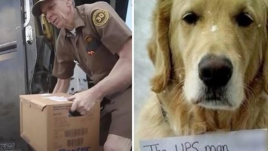 Photo of UPS Driver Hears Loud Thump & Sees A Loose Dog With A Note Tied Around His Neck
