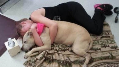 Photo of Mom Captures Precious Last Moments With Her Dying Girl Before Putting Her Down